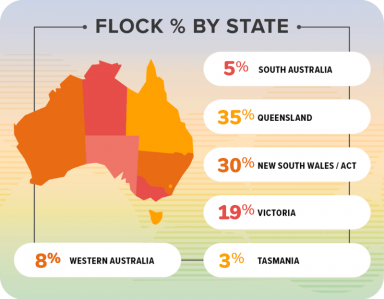 egg-industry-flock-by-state-2021